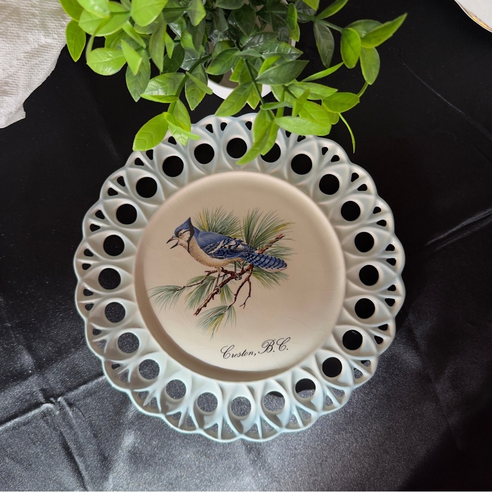 💜 Collector Decorative Plate with Blue Jay Design